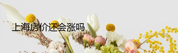 上海房价还会涨吗