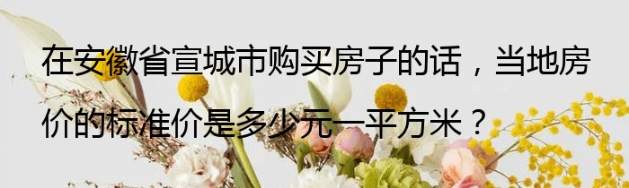 在安徽省宣城市购买房子的话，当地房价的标准价是多少元一平方米？