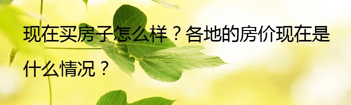 现在买房子怎么样？各地的房价现在是什么情况？