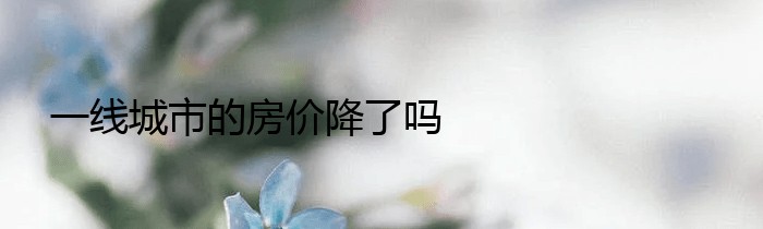 一线城市的房价降了吗