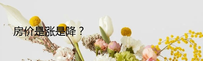 房价是涨是降？