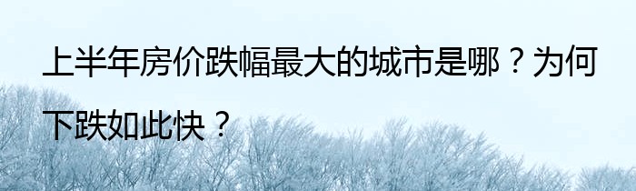 上半年房价跌幅最大的城市是哪？为何下跌如此快？