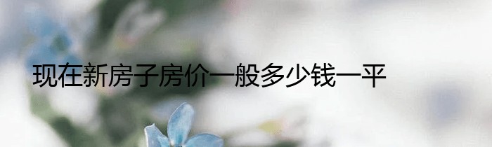 现在新房子房价一般多少钱一平