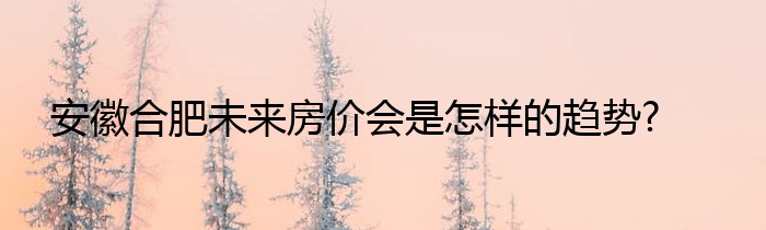 安徽合肥未来房价会是怎样的趋势?