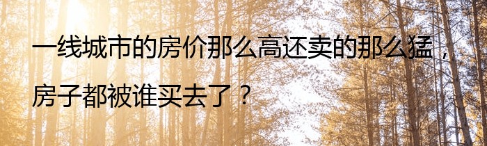 一线城市的房价那么高还卖的那么猛，房子都被谁买去了？