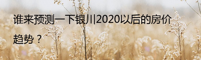 谁来预测一下银川2020以后的房价趋势？