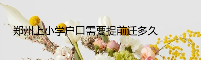 郑州上小学户口需要提前迁多久