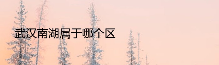 武汉南湖属于哪个区