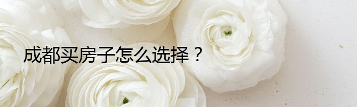 成都买房子怎么选择？