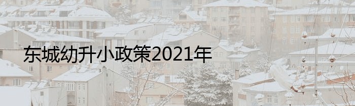 东城幼升小政策2021年