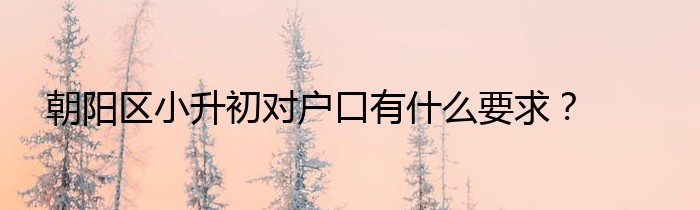 朝阳区小升初对户口有什么要求？