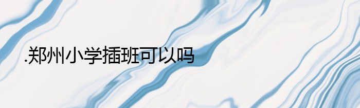 .郑州小学插班可以吗