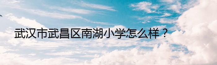 武汉市武昌区南湖小学怎么样？