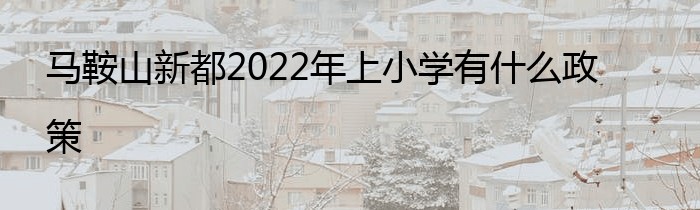 马鞍山新都2022年上小学有什么政策