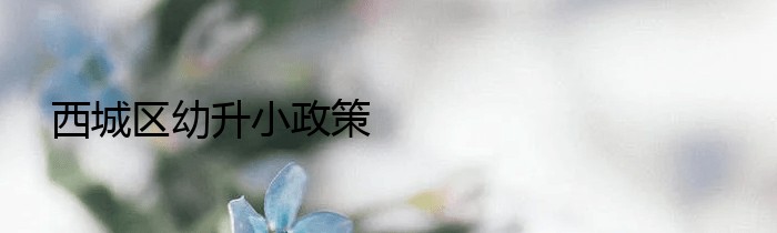 西城区幼升小政策