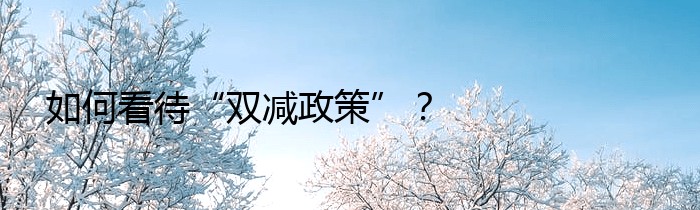 如何看待“双减政策”？