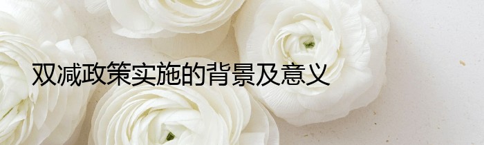 双减政策实施的背景及意义