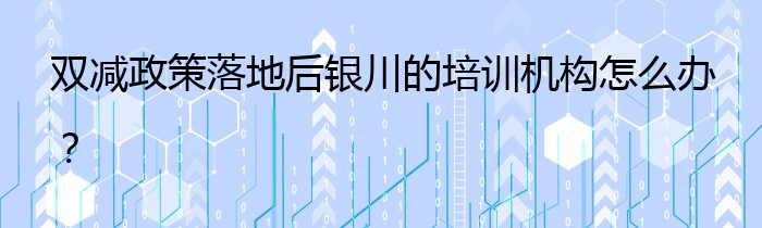 双减政策落地后银川的培训机构怎么办？