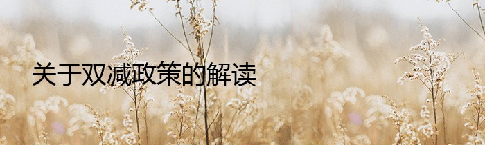 关于双减政策的解读