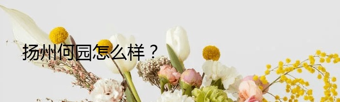 扬州何园怎么样？