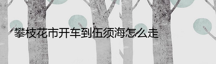 攀枝花市开车到伍须海怎么走