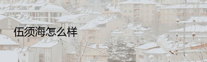 伍须海怎么样