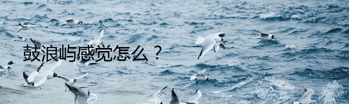 鼓浪屿感觉怎么？