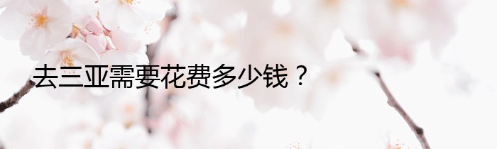 去三亚需要花费多少钱？