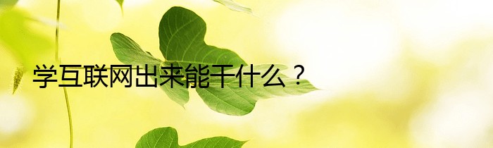 学互联网出来能干什么？