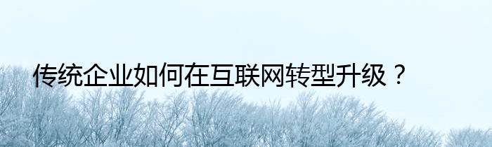 传统企业如何在互联网转型升级？