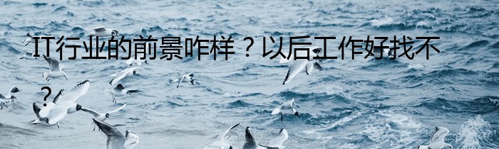 IT行业的前景咋样？以后工作好找不？