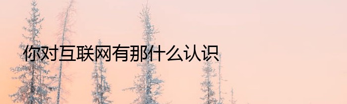 你对互联网有那什么认识