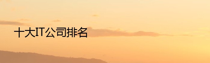 十大IT公司排名