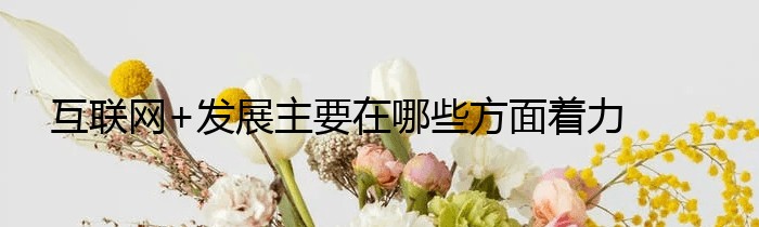 互联网+发展主要在哪些方面着力