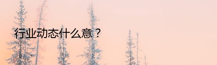 行业动态什么意？