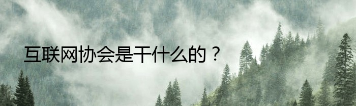 互联网协会是干什么的？