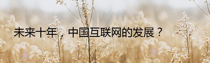 未来十年，中国互联网的发展？