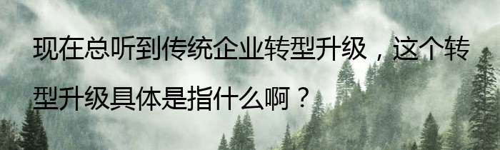 现在总听到传统企业转型升级，这个转型升级具体是指什么啊？