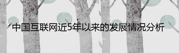 中国互联网近5年以来的发展情况分析