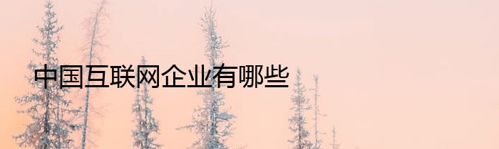 中国互联网企业有哪些