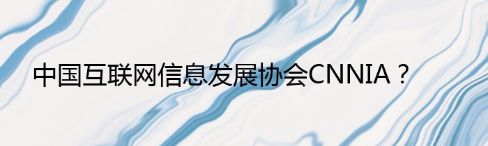 中国互联网信息发展协会CNNIA？