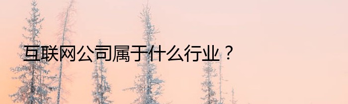 互联网公司属于什么行业？