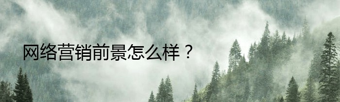 网络营销前景怎么样？