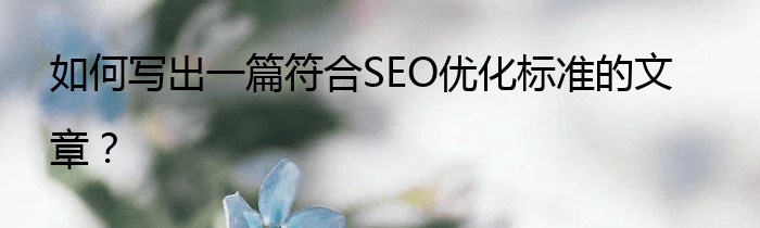 如何写出一篇符合SEO优化标准的文章？