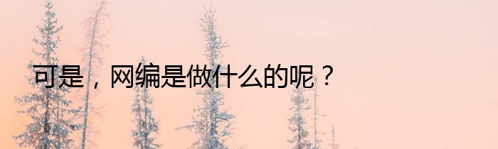 可是，网编是做什么的呢？