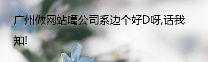 广州做网站噶公司系边个好D呀,话我知!