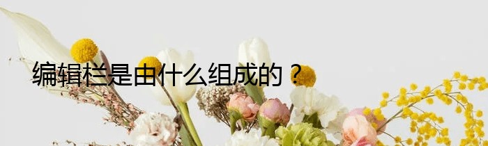 编辑栏是由什么组成的？