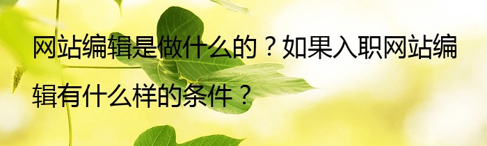 网站编辑是做什么的？如果入职网站编辑有什么样的条件？