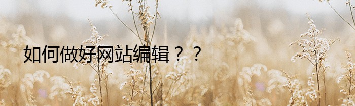 如何做好网站编辑？？