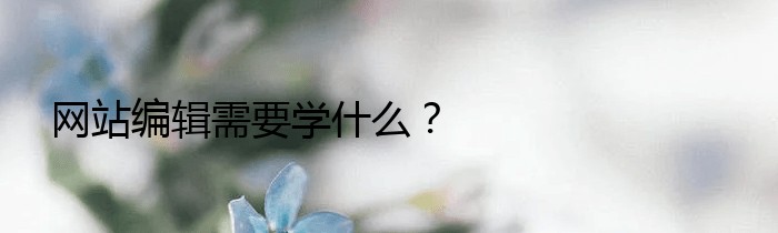 网站编辑需要学什么？